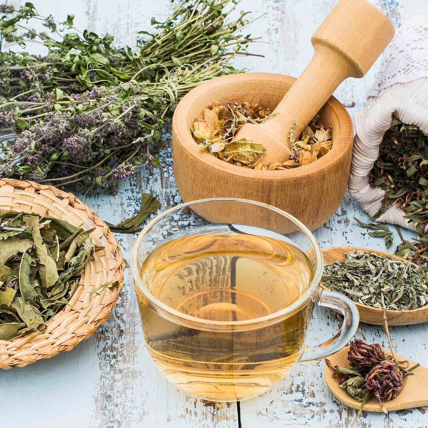 phytothérapie Pharmacie Pliane